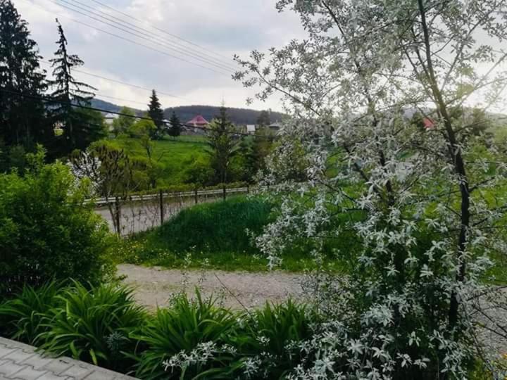 Pensiunea Valurile Bistritei Guest house